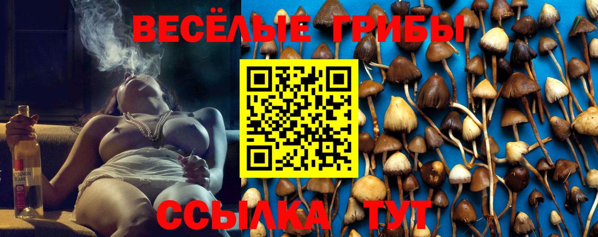 Псилоцибиновые грибы GOLDEN TEACHER  Псилоцибиновые грибы Psilocybe  Ярославль  Вход с VPN 